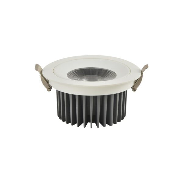 LED Downlights