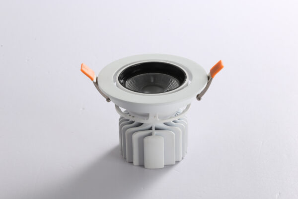 LED Downlights