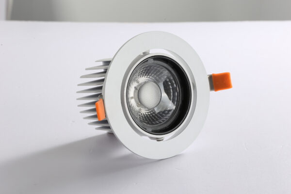 LED Downlights