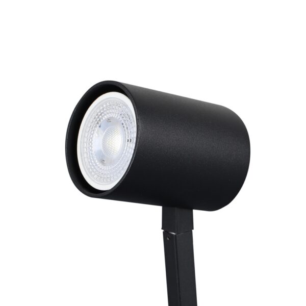 Commercial Spotlight