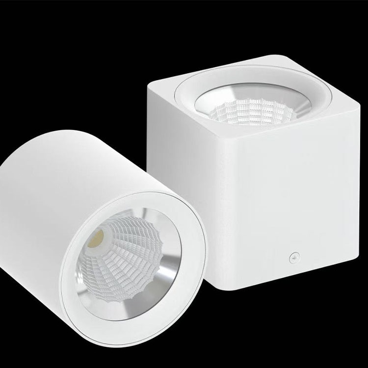 Complete Guide to Commercial LED Downlights